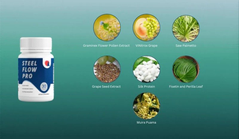 Steel Flow Pro natural ingredients for prostate health