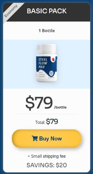 Steel Flow Pro 1 bottle package price